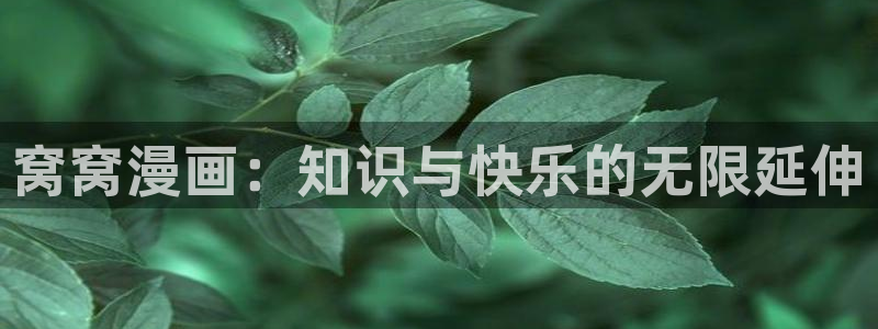 yy漫画登陆：窝窝漫画：知识与快乐的无限延伸