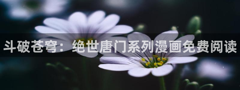 歪歪漫画.www：斗破苍穹：绝世唐门系列漫画免费阅读